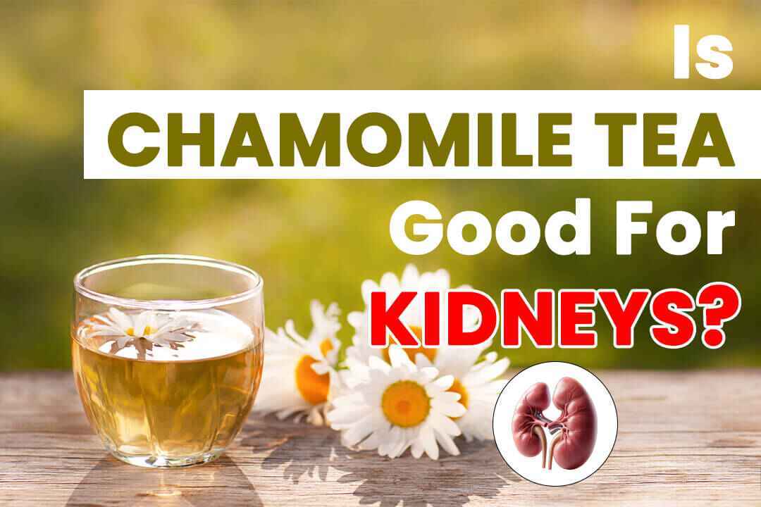 Is Chamomile Tea Good For Kidneys?